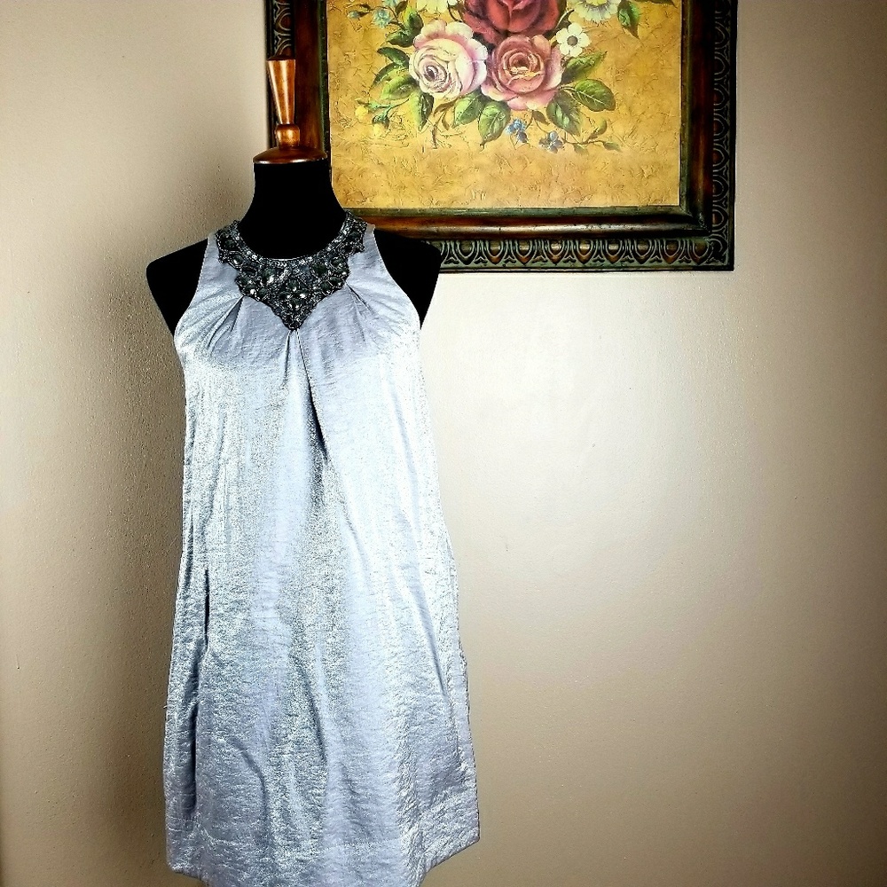 Silver Embroidered Dress Medium